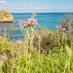 Casa Joaninha - Heated Pool - Algarve *