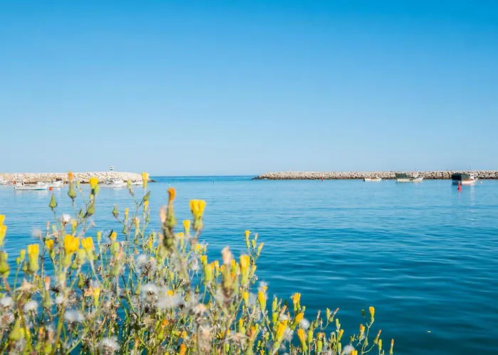 Casa Joaninha - Heated Pool - Algarve *