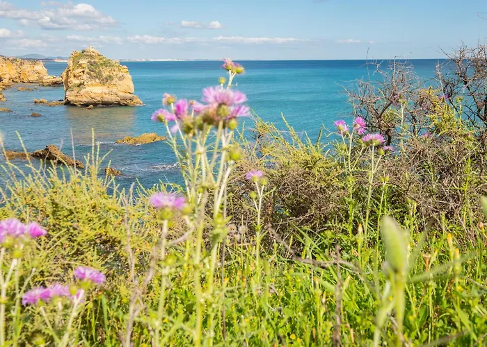 Casa Joaninha - Heated Pool - Algarve *